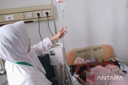 Kasus DBD di Karawang mencapai lebih dari 400 kasus