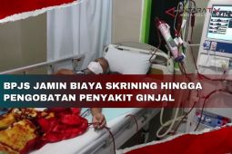 BPJS jamin biaya skrining hingga pengobatan penyakit ginjal