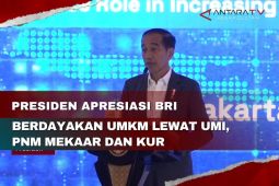 Presiden apresiasi BRI berdayakan UMKM lewat UMi, PNM Mekaar dan KUR