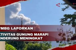 PVMBG laporkan aktivitas Gunung Marapi cenderung meningkat