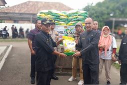 Potensi panen di Kabupaten Serang capai 17.975 hektare