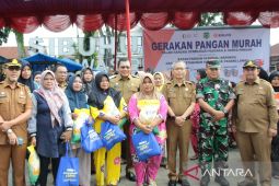 Pemkab Palas gelar acara Gerakan Pangan Murah serentak 2024