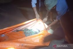 Nelayan hilang di Mukomuko ditemukan meninggal