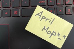 Perayaan hari iseng sedunia April Mop, ada yang pura-pura menyatakan cinta