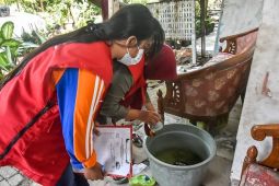 Pemkot Surabaya: Januari-Maret 2024 akumulasi angka DBD 47 kasus