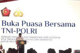 Hadi minta TNI dan Polri wujudkan suasana mudik yang aman serta ceria