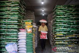 FOTO - Permintaan beras untuk zakat fitrah di Aceh