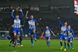 Brighton merekrut Matt O'Riley perkuat lini tengah