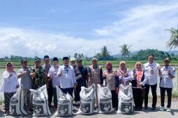 Pemkab Jember salurkan pupuk organik kepada petani secara gratis