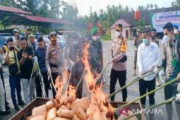Polres Madina musnahkan 140 kilogram barang bukti ganja