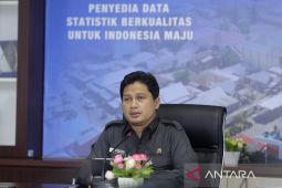 BPS mencatat beras dan cabai berikan andil besar pada inflasi Maret