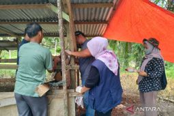 Distan Mukomuko pastikan stok sapi potong cukup hadapi Lebaran