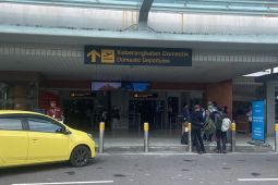 Bandara Ngurah Rai: Lebih banyak wisdom datang dari pada pemudik keluar