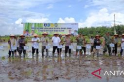 Pj Gubernur Babel mengajak masyarakat penambang beralih ke pertanian
