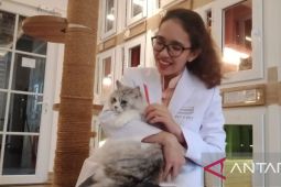 Pastikan hewan peliharaan sehat sebelum dititipkan saat libur Lebaran