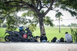 Dokter ingatkan mengemudi kendaraan tak boleh lebih dari delapan jam