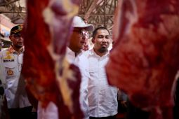 Persediaan hewan ternak "meugang" Idul Fitri capai 2.539 ekor