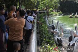 Taman Margasatwa Ragunan siapkan kantong parkir saat libur