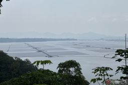 Cirata floating solar power plant: Indonesia's green energy milestone
