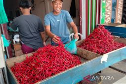 Harga jual cabai merah keriting di Rejang Lebong Bengkulu naik