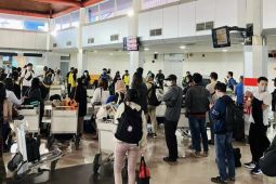 Pemudik di Bandara Pattimura meningkat 21 persen di  H-3 lebaran