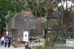 Taman Hewan Pematang Siantar berbenah demi wisatawan