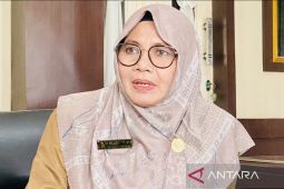 Dinkes Nagan Raya buka layanan IGD 24 selama libur Hari Raya Idul Fitri