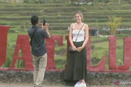 1.300 wisatawan banjiri Jatiluwih Tabanan, Bali