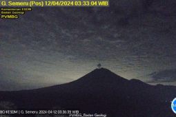 Semeru erupsi lagi, kali ini letusan setinggi 700 meter