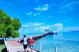 Objek wisata Taman Mangrove Ruar Distrik Biak Timur jadi destinasi pilihan libur Lebaran