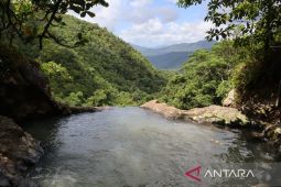 Kunjungan wisatawan ke Desa Wisata Wae Lolos Manggarai Barat meningkat