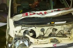 Satpol PP Mukomuko selidiki informasi kecelakaan akibat ternak