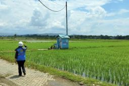 Kementan upayakan listrik masuk sawah untuk optimalkan pompanisasi