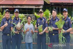 Bea Cukai Banjarmasin gandeng UMKM ekspor tanaman hias