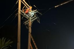 PLN gerak cepat atasi gangguan jaringan listrik di Aceh Selatan