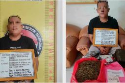 Tim gabungan tangkap seorang pemesan ganja lewat jasa pengiriman barang