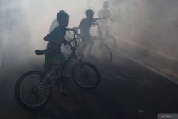 Pengasapan pascakasus DBD di Kota Madiun