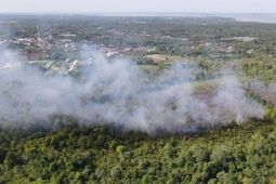 BMKG Balikpapan temukan 167 titik panas tersebar di Kaltim