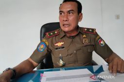 Mukomuko terapkan sanksi tipiring bagi warga lepasliarkan ternak