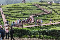 Wisatawan ke Gunung Gambir Jember terus meningkat saat libur Lebaran