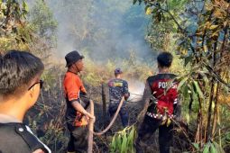 BMKG Balikpapan deteksi 225 titik panas tersebar di Kaltim