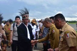 Menteri Pertanian cetak sawah 500 ribu hektare di Papua Selatan