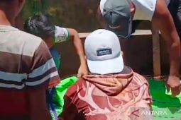KSDA Mukomuko atasi konflik buaya dengan pemasangan perangkap