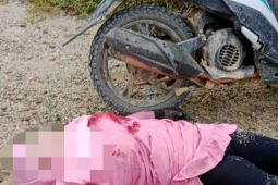 Polres Kapuas Hulu Kalbar periksa 11 saksi terkait kasus penembakan wanita