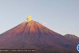 Badan Geologi: Aktivitas kegempaan masih tinggi di Semeru