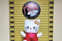 Polisi Kubu Raya gagalkan penyelundupan narkoba dalam boneka