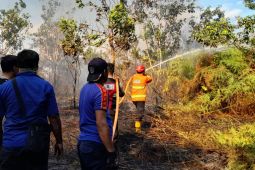 BMKG Balikpapan: Jumlah titik panas di Kaltim turun dari 225 menjadi 203