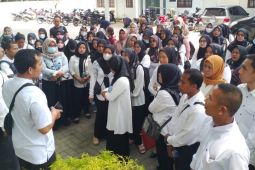 Guru P3K yang lulus seleksi datangi BKD Langkat