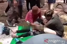 Ragunan pastikan tanggung seluruh biaya pengobatan wisatawan tertimpa dahan