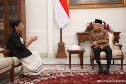 Menlu temui Wapres laporkan konsistensi Indonesia dukung Palestina